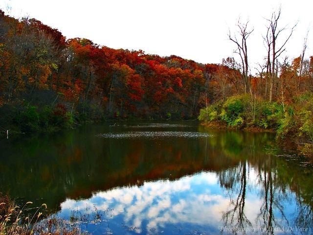 Kickapoo State Park Campgrounds